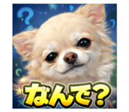 807995083