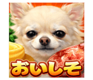 807995085