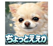 807995086