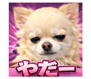 807995087