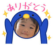 808000648