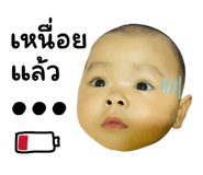 808017676
