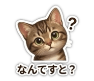 808024611