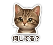 808024615