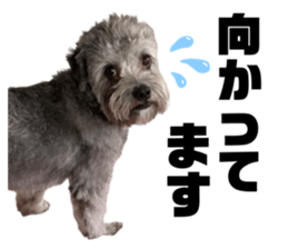 808030220
