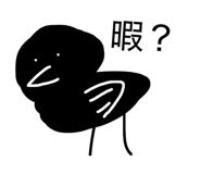 808031456