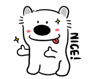 808036532