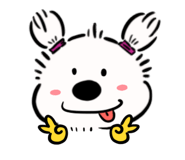 808036535