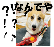 808040715