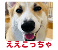 808040718