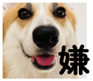 808040720