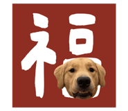 808048992