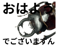 808054138