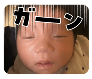 808060088