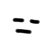 808063275