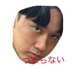 808063367