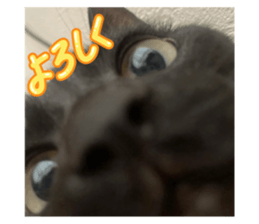 808070447