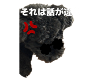 808088685