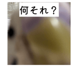 808089163