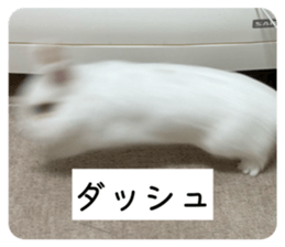 808089180