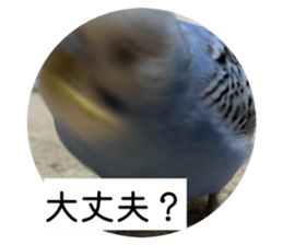 808089185