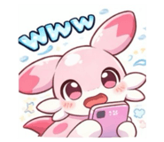 808094416