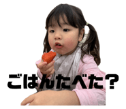 808094994