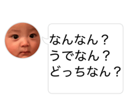 808120342