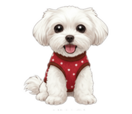 808120633