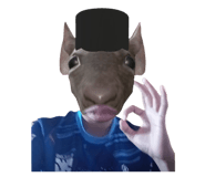 808124434