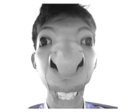 808124439