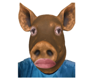 808124446