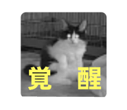 808124711