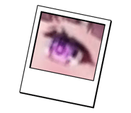 808125044