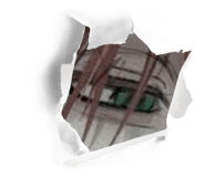 808125050