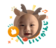 808127376