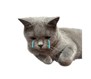 808132072
