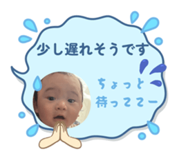808136003