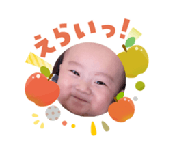 808139988