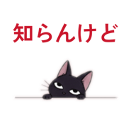 808143262