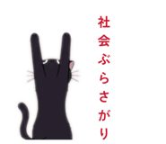 808143280