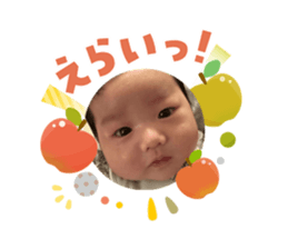 808144539