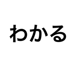 808144941