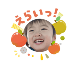 808145066