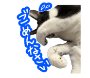 808145423