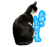 808145425