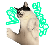 808145433
