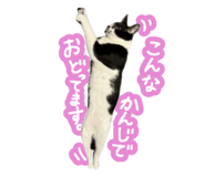 808145434