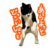 808145435