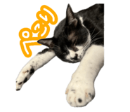 808145444